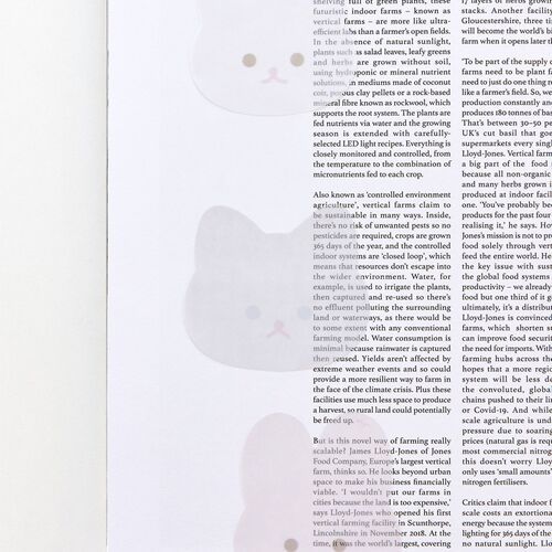 Piyo Tracing Sticky Note - Image 3