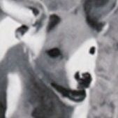 My Heart Races (Puppy)