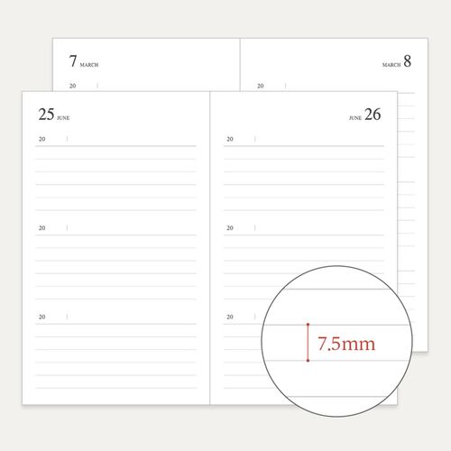 Archive Me 3 Yr Daily Diary Planner - Image 13