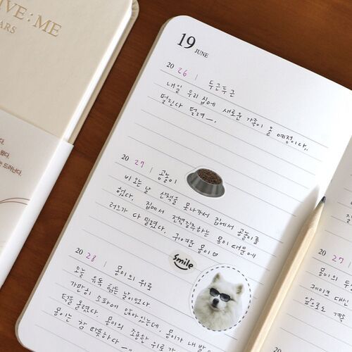 Archive Me 3 Yr Daily Diary Planner - Image 24