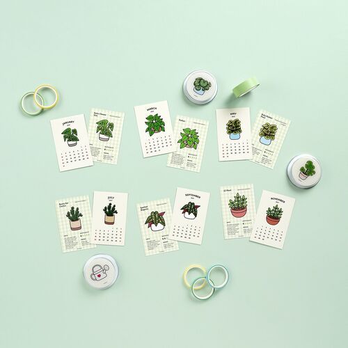 2027 Houseplant Mini Calendar Sheets - Image 7