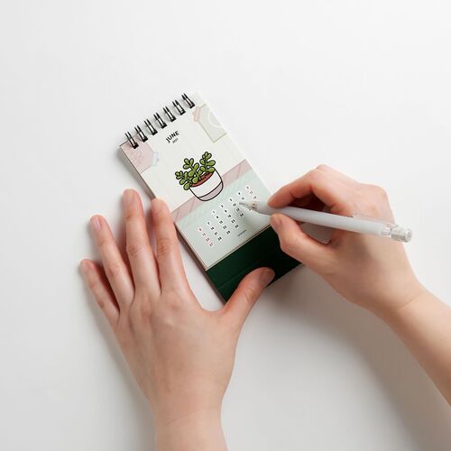 2027 Houseplant Mini Desk Calendar - Image 3