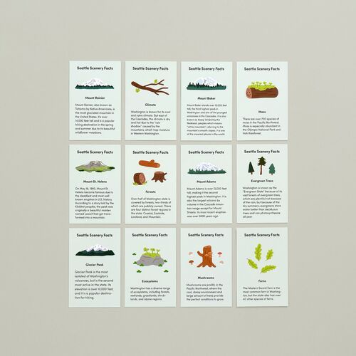 A collection of 13 double-sided sheets featuring vibrant illustrations and facts about Seattle's scenery, arranged neatly on a neutral background.