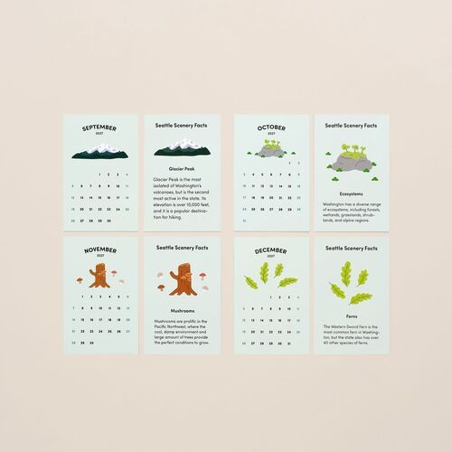 The image displays eight double-sided sheets featuring scenic illustrations and educational facts about Seattle, arranged neatly against a light beige background.