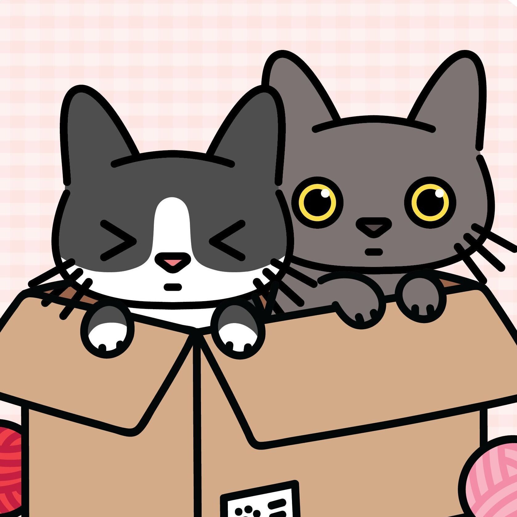 Peekaboo Box