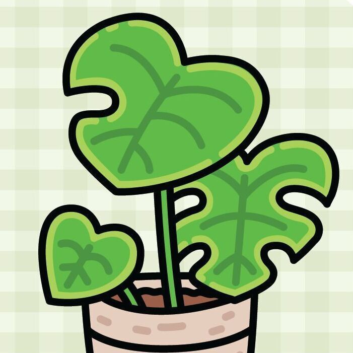 Monstera