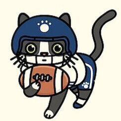 Touchdown Tuxedo