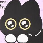 Black Cat