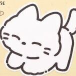 Cozy Cat