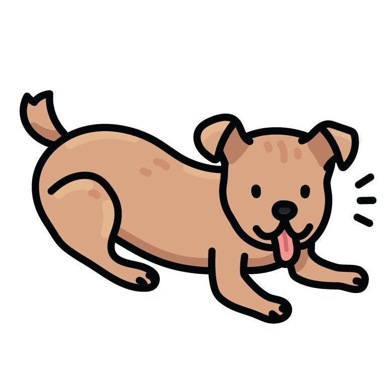 25 Carolina Dog