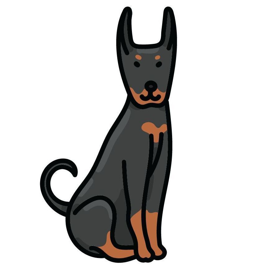 27 Dobermann