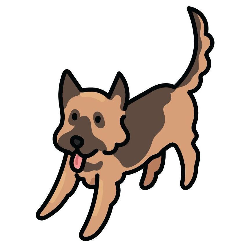 28 German Shepherd