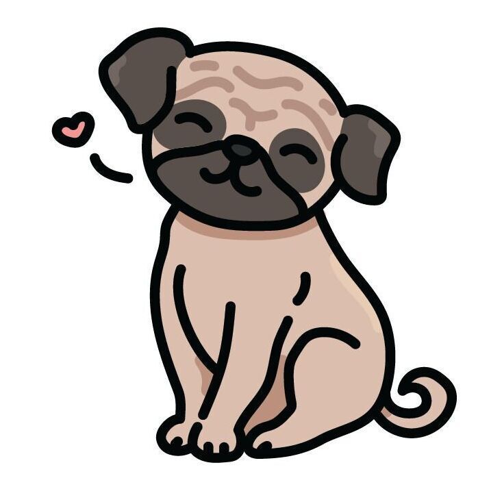 29 Pug