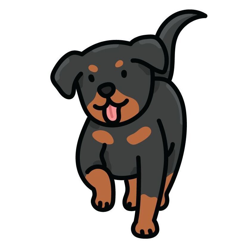 30 Rottweiler