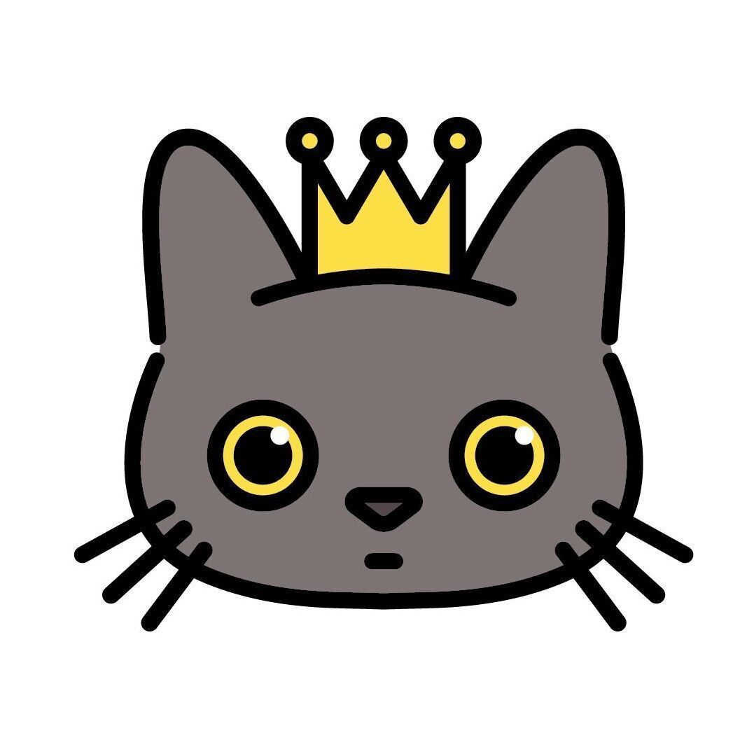 11 Princess