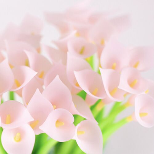 The image showcases a cluster of soft pink calla lily flowers with bright yellow centers, set against a plain, light background.
