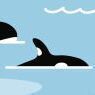 02 Whale Watching