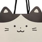Kitty