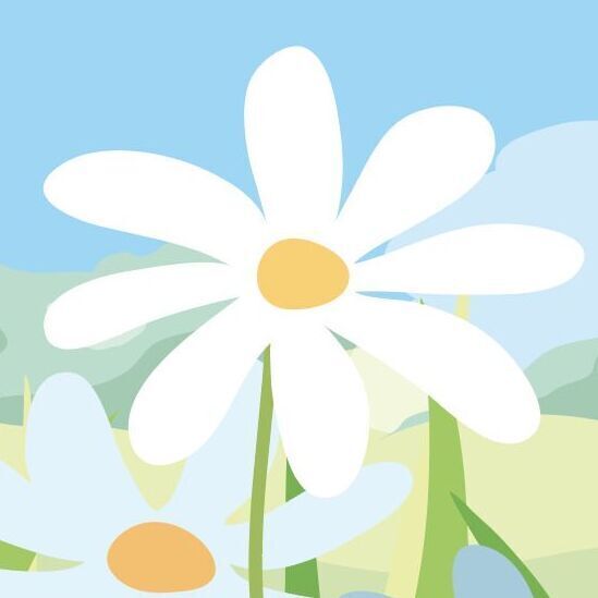 05 May