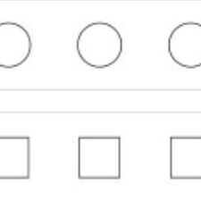 05 Basic Checkbox