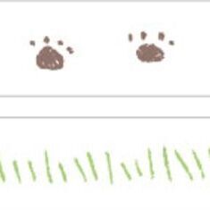 07 Puppy Walk