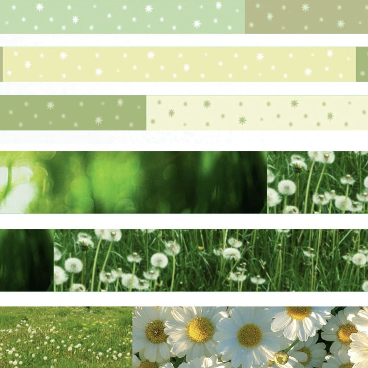 Flower Field