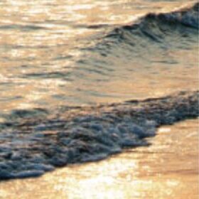 05 Golden Sea