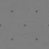 Black Dot