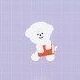 03 Bichon