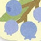 05 Blueberry