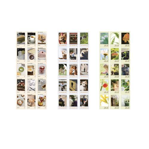 The Scenery Easy Cut Masking Tape - Image 13