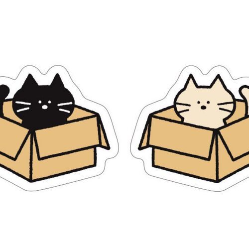 Box shows a black cat peeking from a cardboard box, with a cream cat version on the reverse.