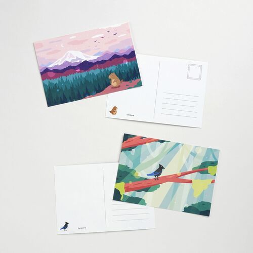 A pink mountain postcard and a blue jay postcard are shown front and back, making the writing format easy to see.