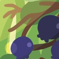 05 May