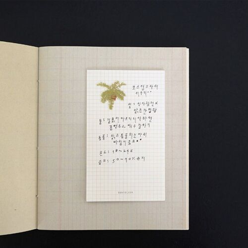One botanical sticker decorates a gridded notebook page, creating a simple green accent beside handwritten notes.