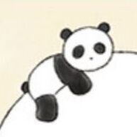 03 Panda Circle