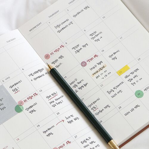 An open monthly layout includes spacious weekday columns and larger boxes for appointments, reminders, and notes.