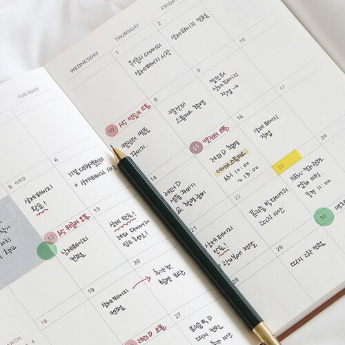 A daily check spread divides each month into numbered sections and fine grid lines for detailed tracking.