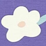 Purple Blooming