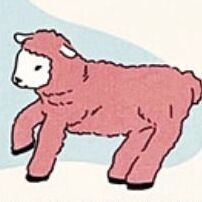 Little Pink Lamb