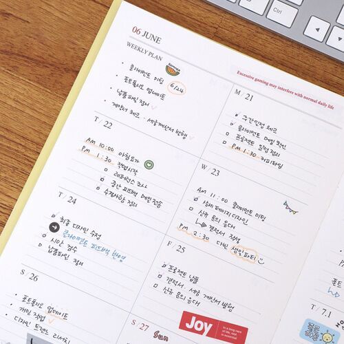 A close view of the June weekly layout shows dated sections, checklist space, and decorative planning details.