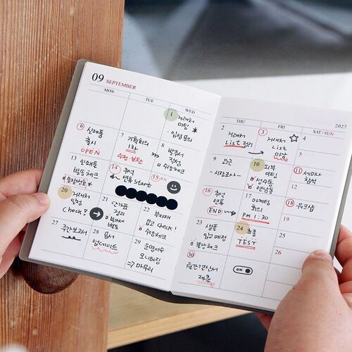 An open monthly spread shows dated boxes filled with handwritten appointments, reminders, symbols, and colorful markings.