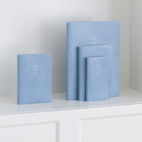 An overhead arrangement shows the Ice Blue weekly planner open among coordinating notebooks and loose planning pages.
