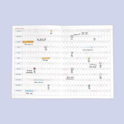 The project plan spread provides horizontal date rows for mapping longer tasks and milestones.