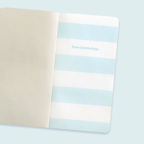 Several planner covers are arranged on a dark surface, showing their varied colors and artwork.