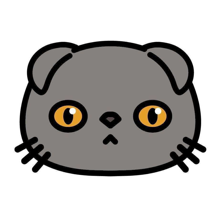 17 Scottish Fold