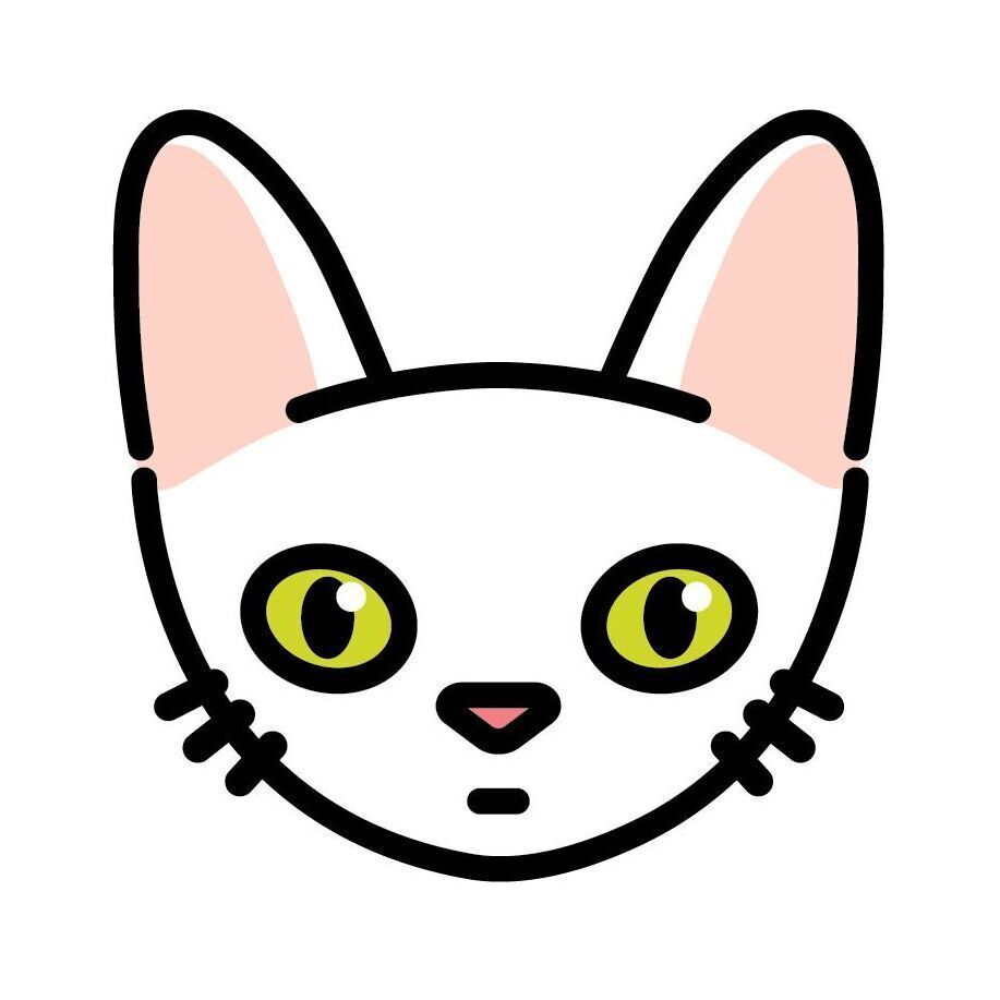 19 Devon Rex