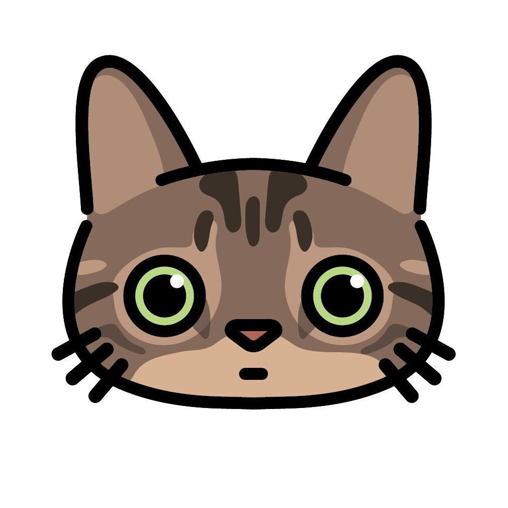 21 Brown Tabby