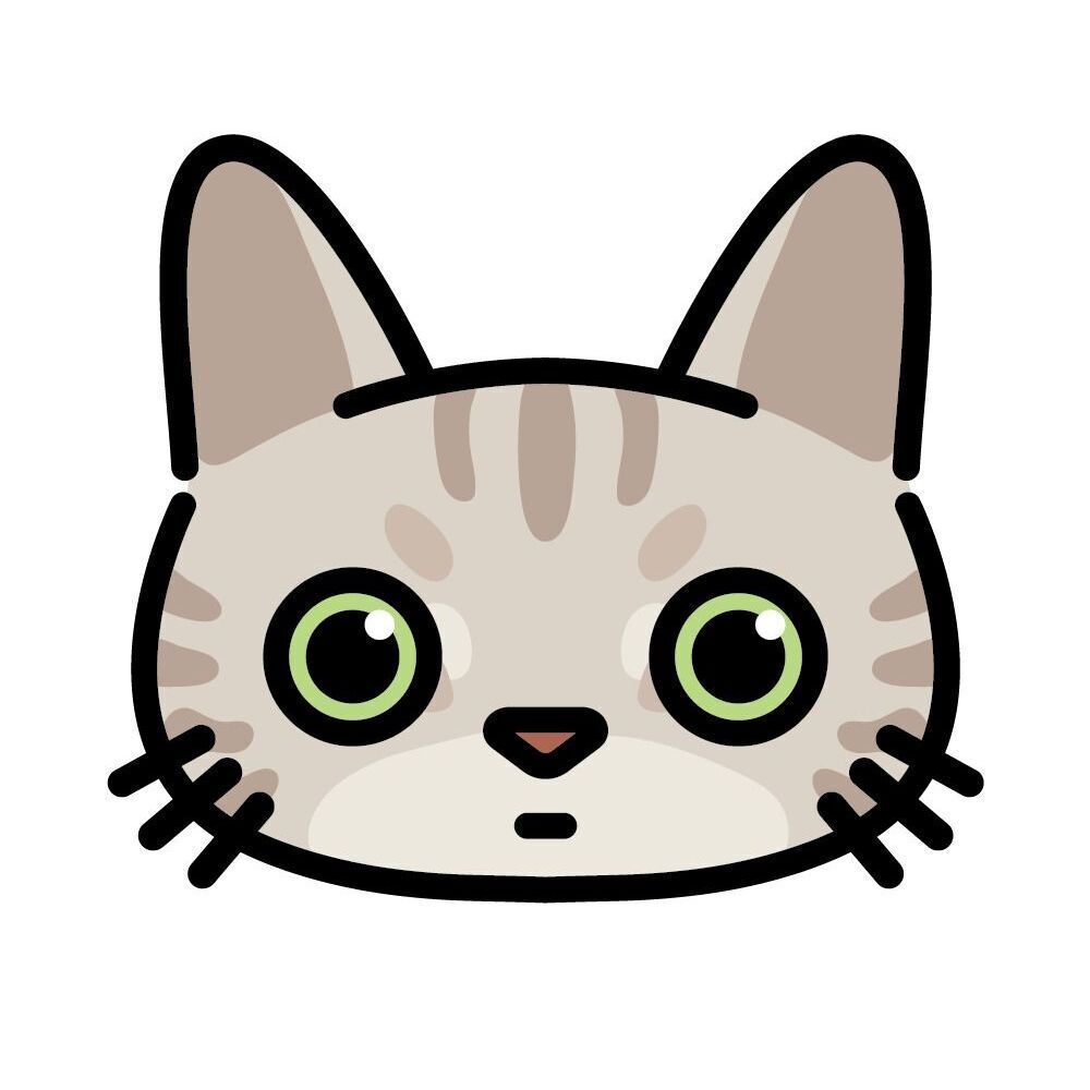 22 Cream Tabby