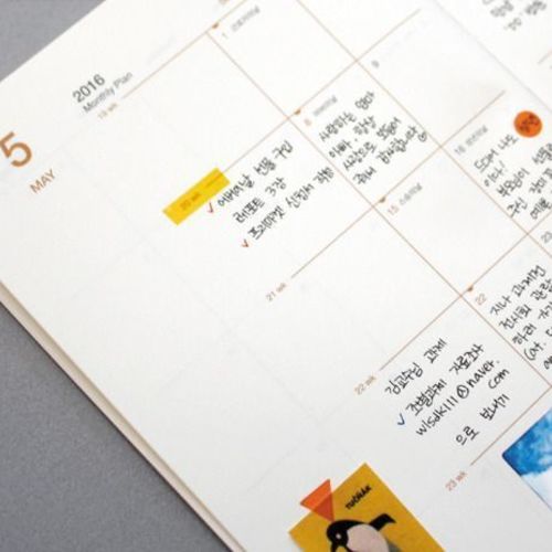 2016 Medium Record Planner